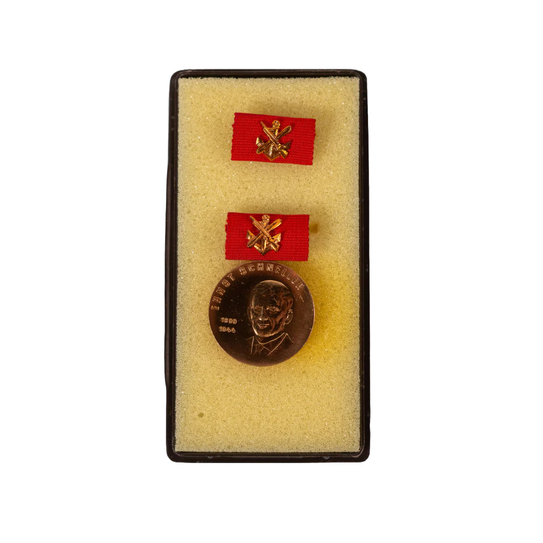 East German Armed Forces Insignia, Medal & Patch Grab Bag - Image 7