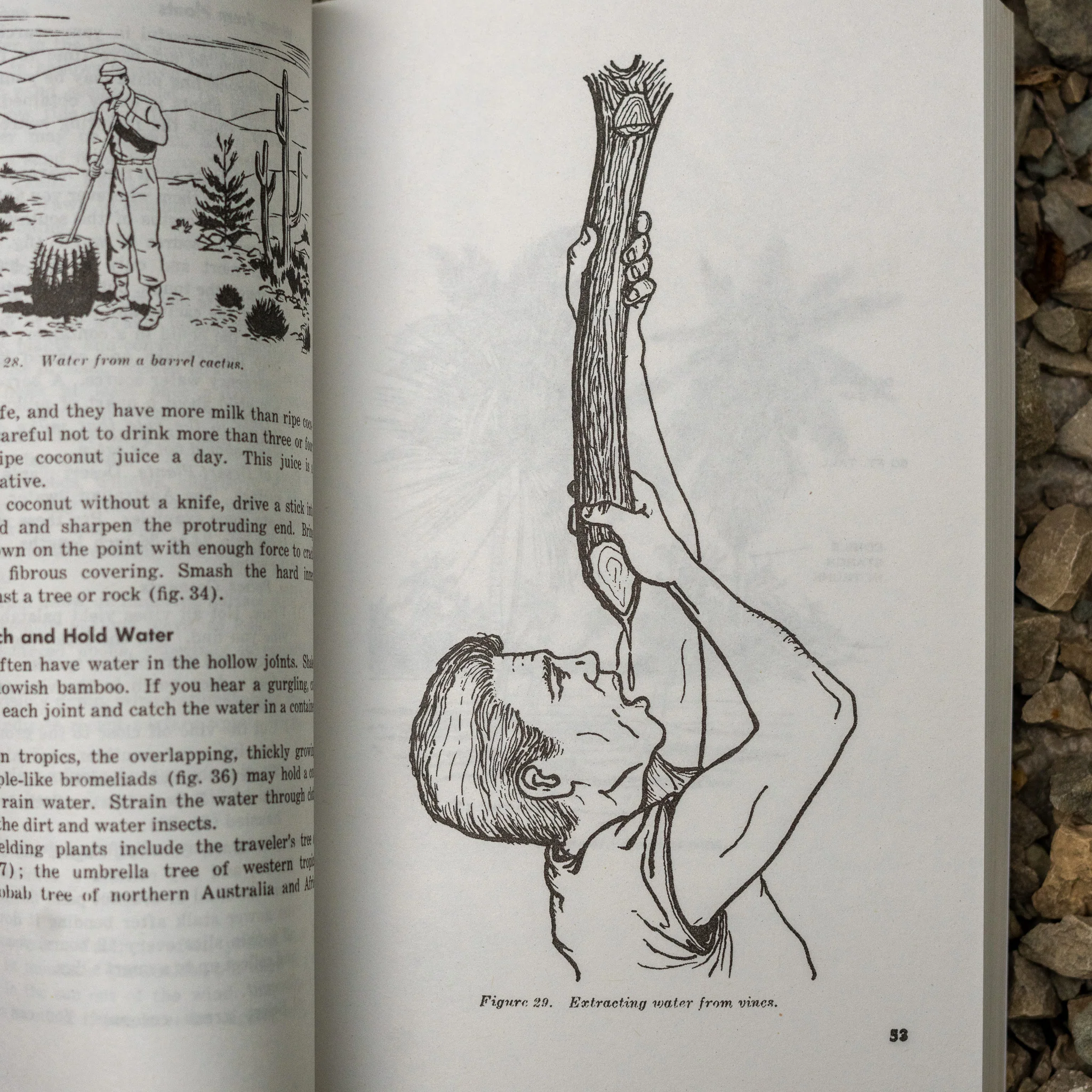 US Army Survival Manual - Image 2